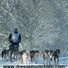 Résultat et classement des mushers du lundi 10 janvier 2011 de la grande odyssee